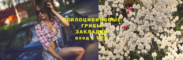 спиды Михайловск